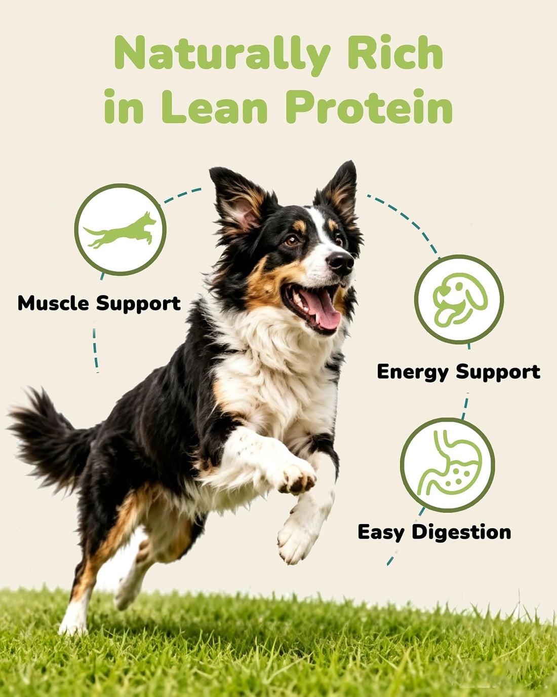 PAWUP Freeze Dried Chicken Dog Treats