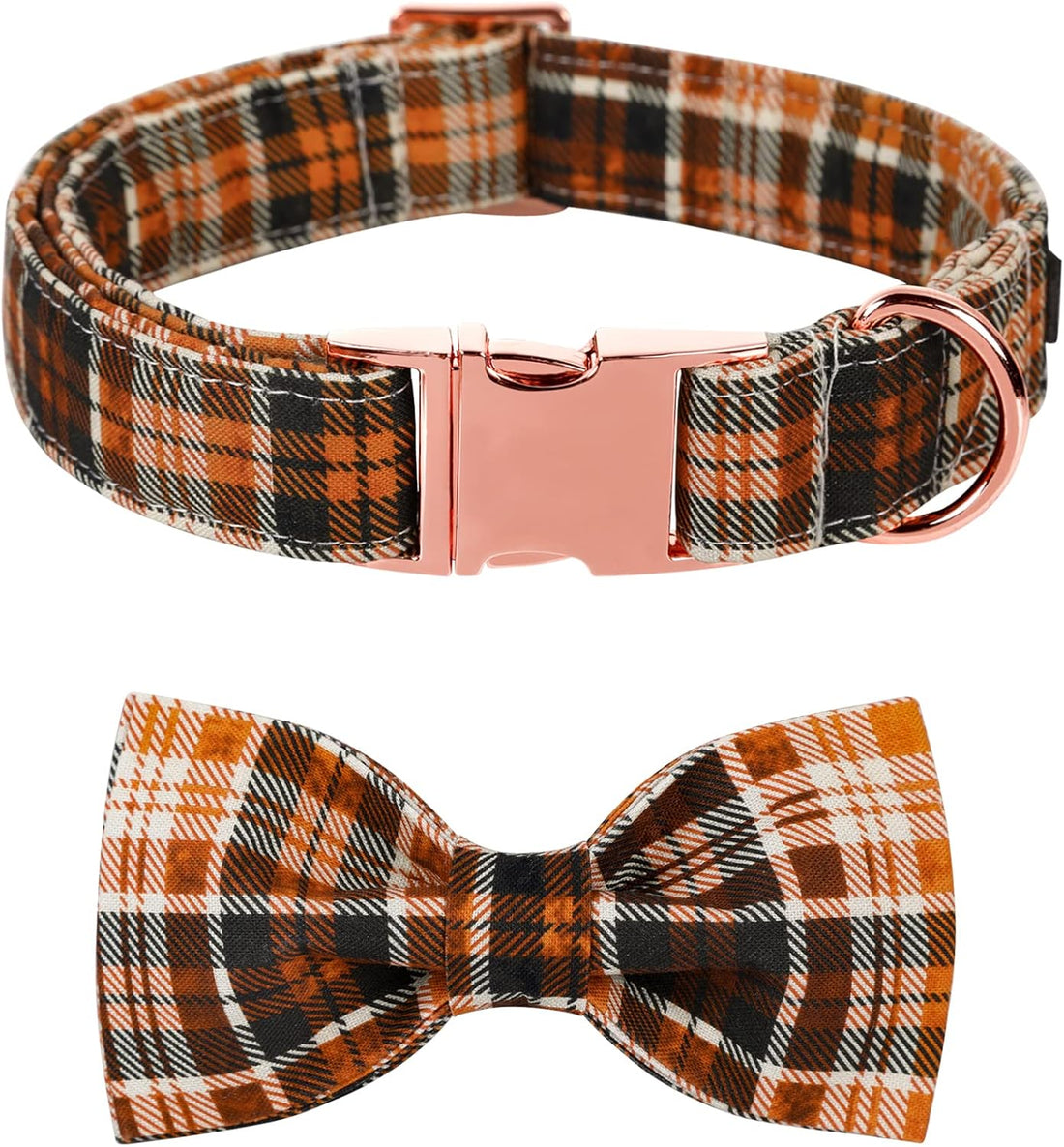 Lionet Paws Halloween Dog Collar with Bowtie