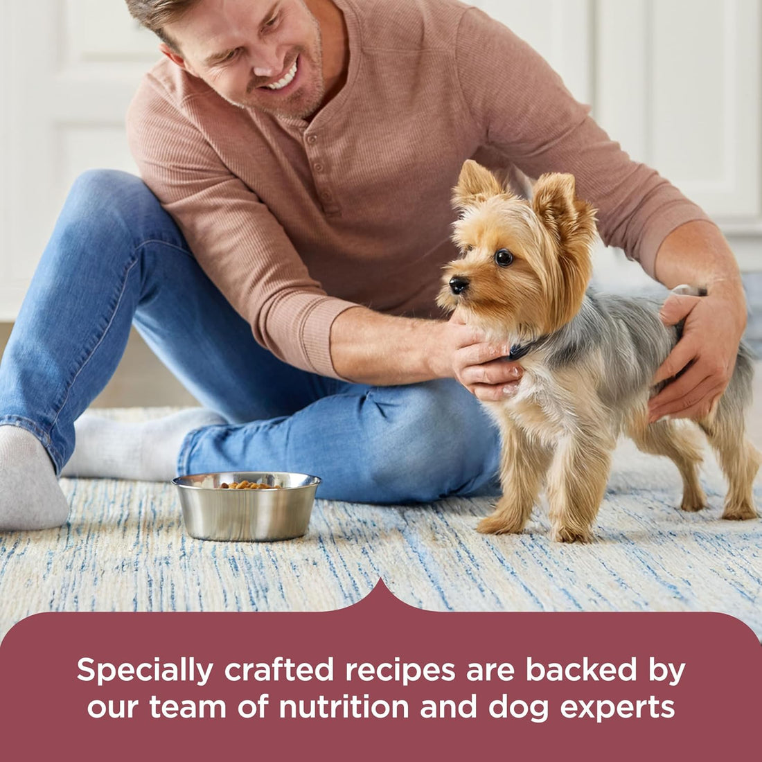 Nutrish Small Breed Dry Dog Food with Chicken, 13 lb. Bag