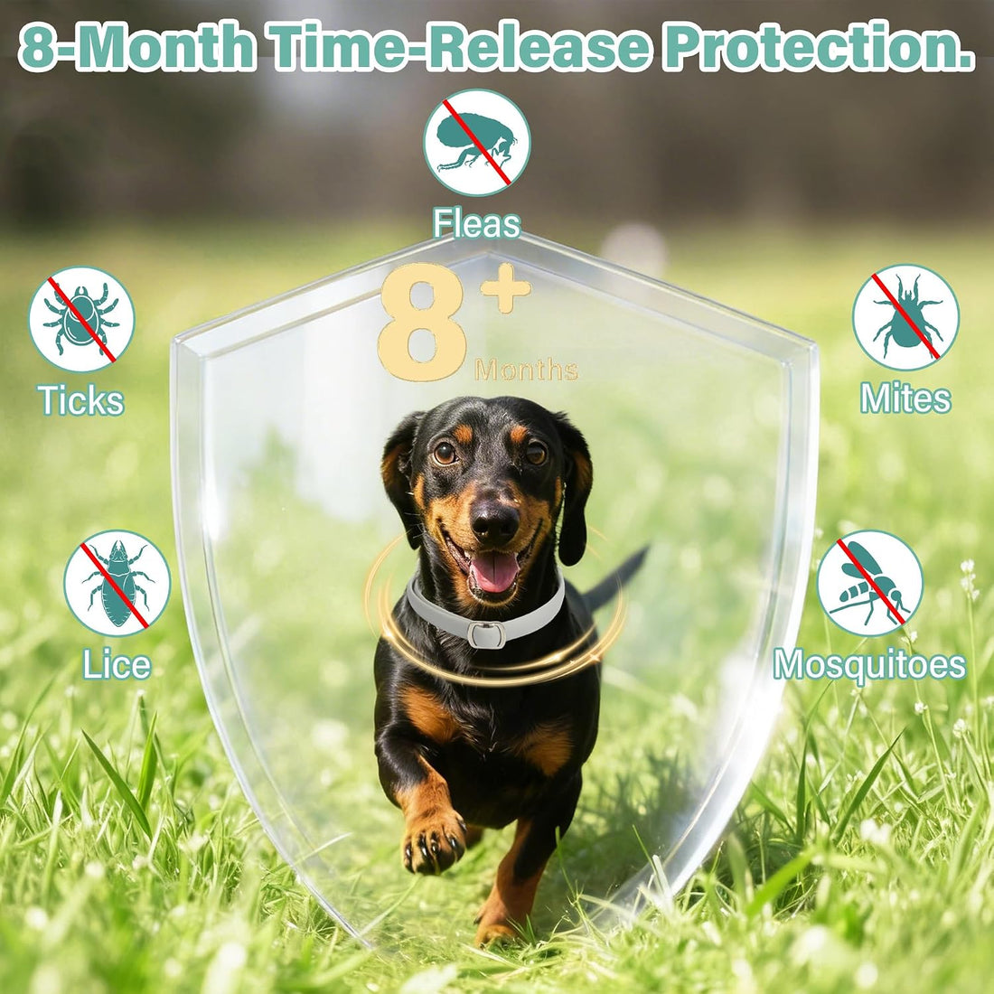 6 Pack Flea and Tick Collars for Dogs, Up to 48 Months, Grey