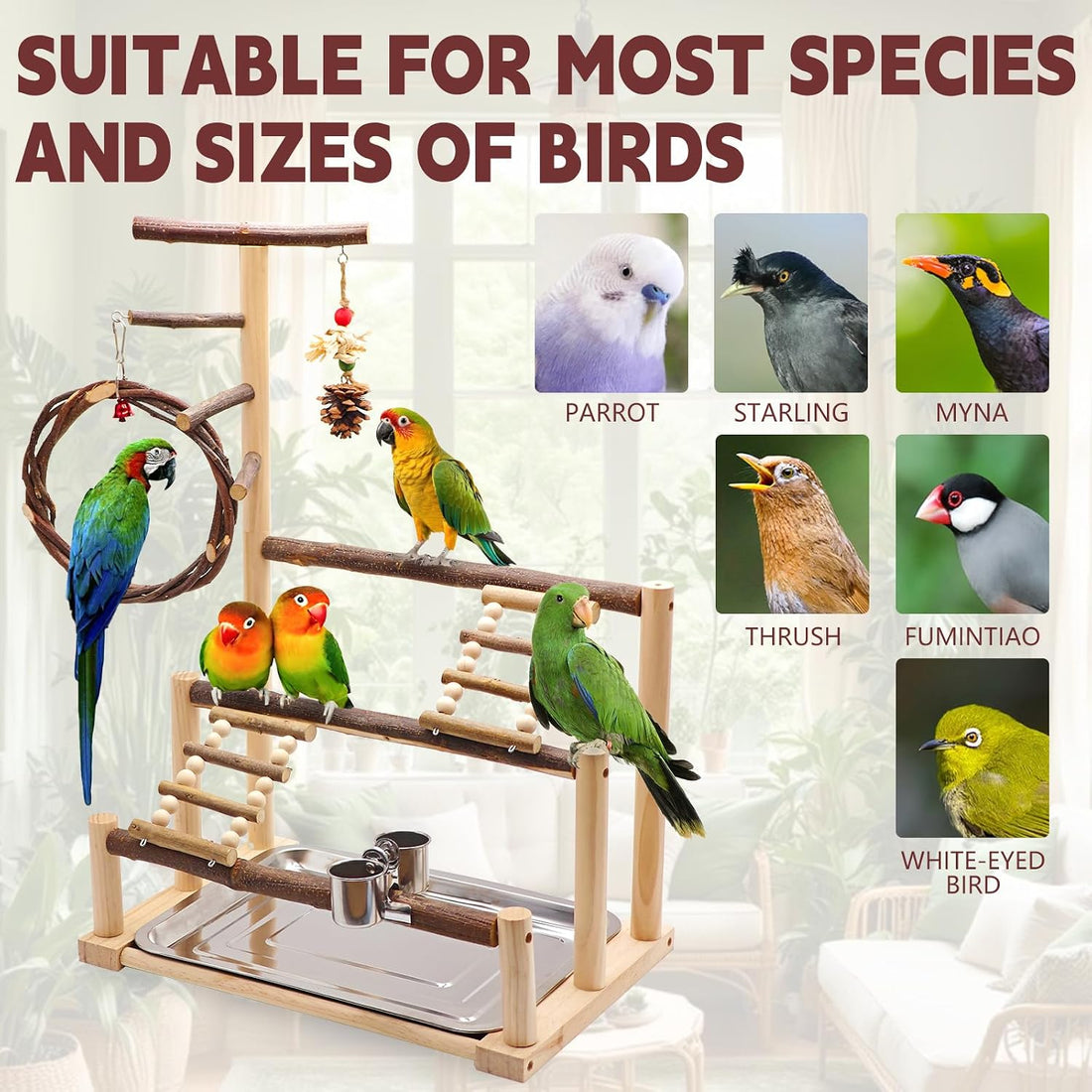 Bird Playground, Natural Wooden Parrot Stand Suitable for Small