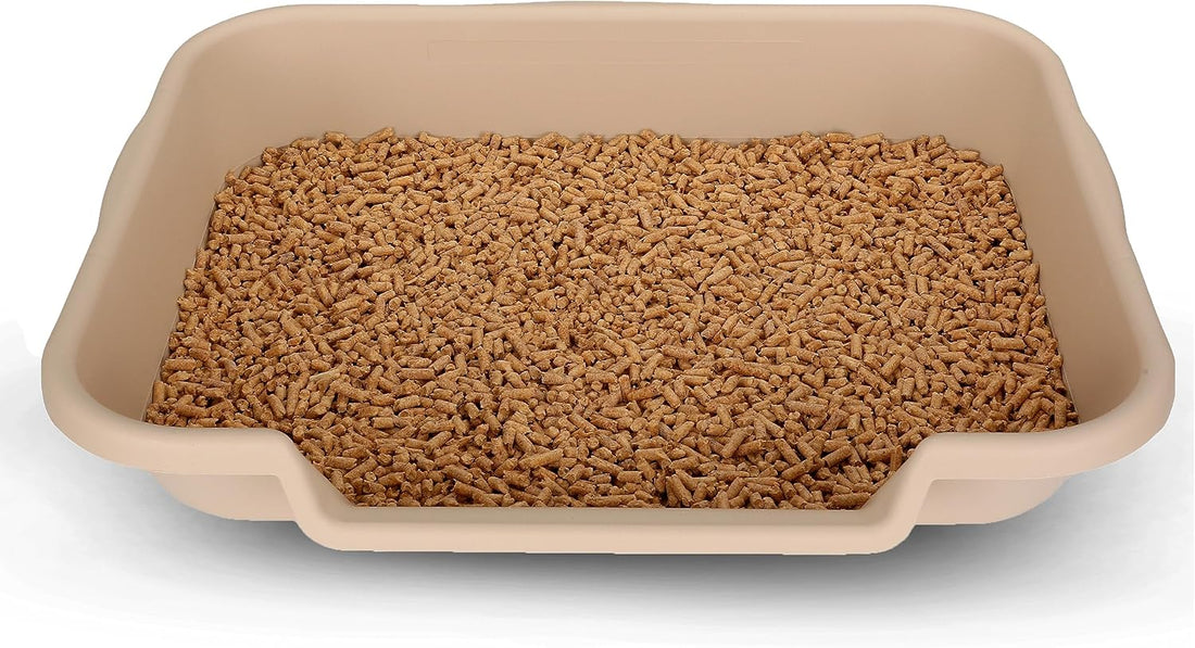 KittyGoHere Senior Cat Litter Box, Large Litter Pan, Beach Sand