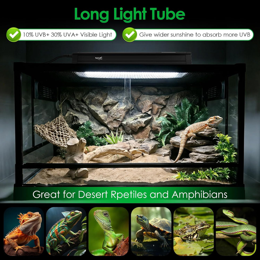 UVB Light for Reptiles Bearded Dragon
