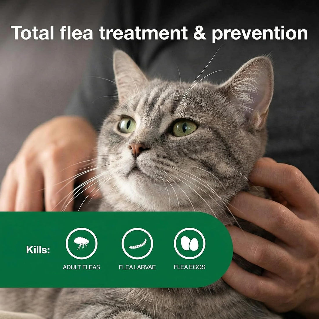 Topical Flea for Medium Cats 5-9 lbs, Fast Acting & Long-Lasting
