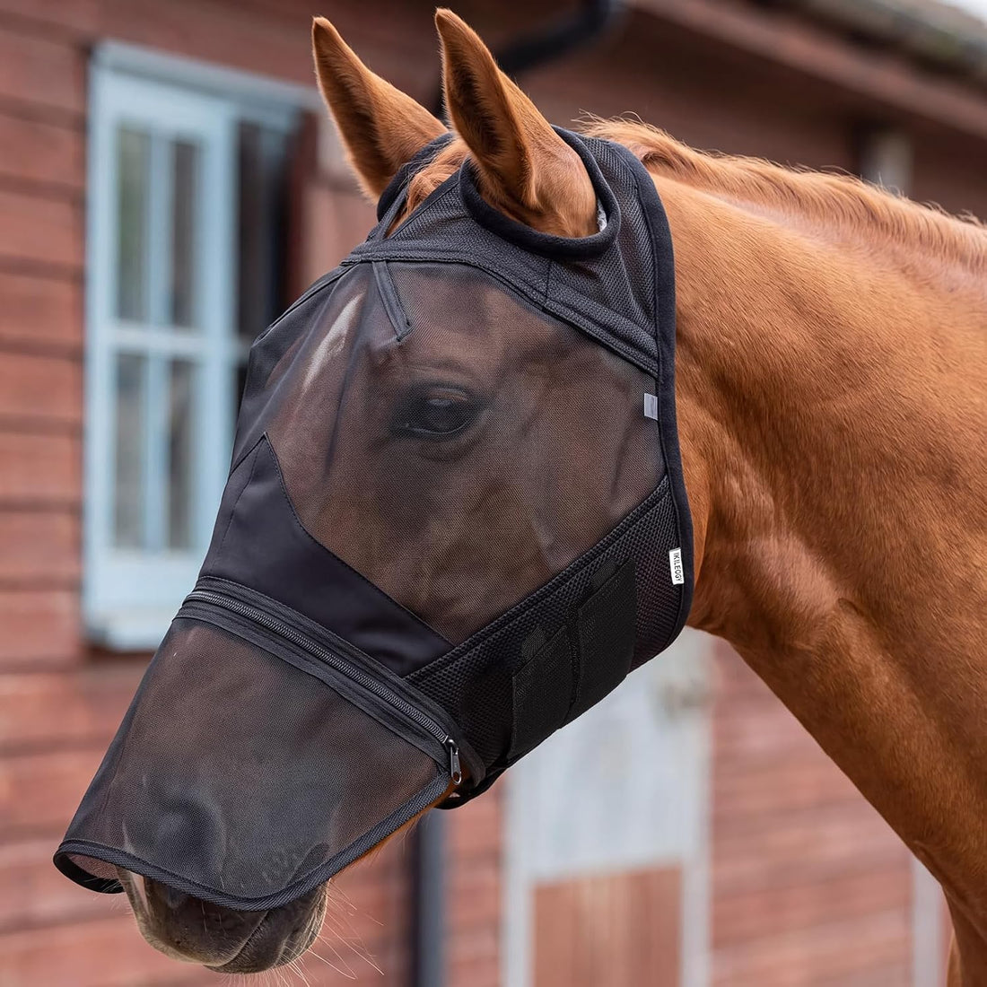 Horse Fly Mask with Ears & Detachab Nose Cover, Medium