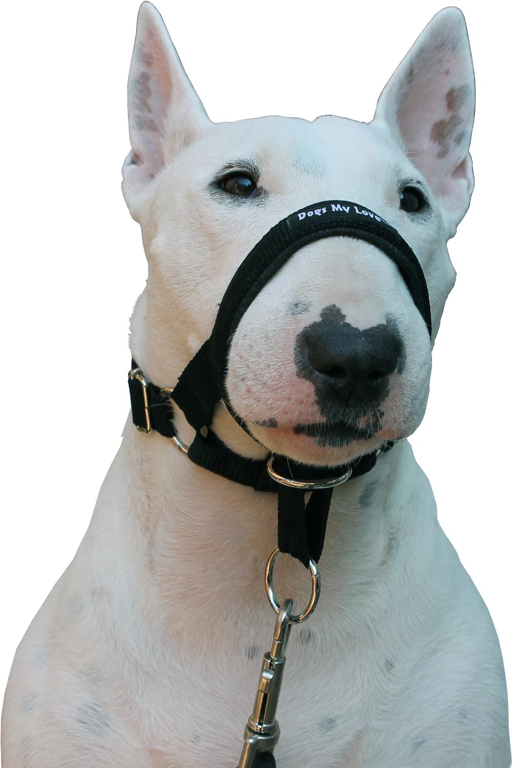 Dog Head Collar Halter Black (S 6.5inch8.25inch Snout)