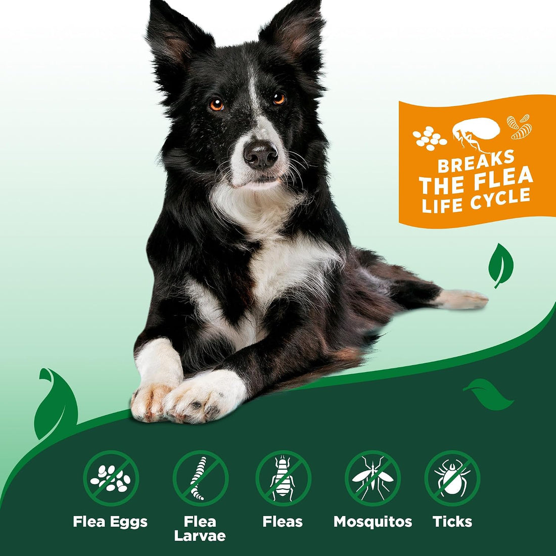 Vet's Best Indoor Flea & Tick Home Spray for Dogs, Plant-Based Spray