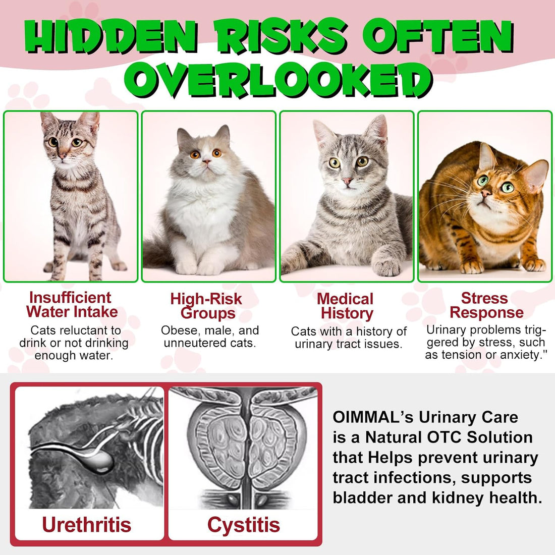 Urinary Tract for Cats, Natural Cat Urinary Tract Drops