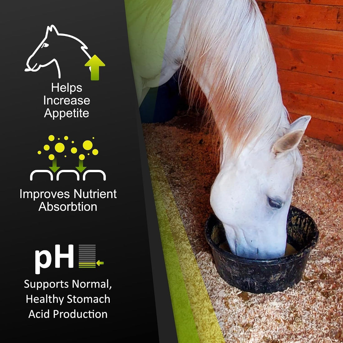 GastroMend® Digestive Support for Horses, 60 Doses
