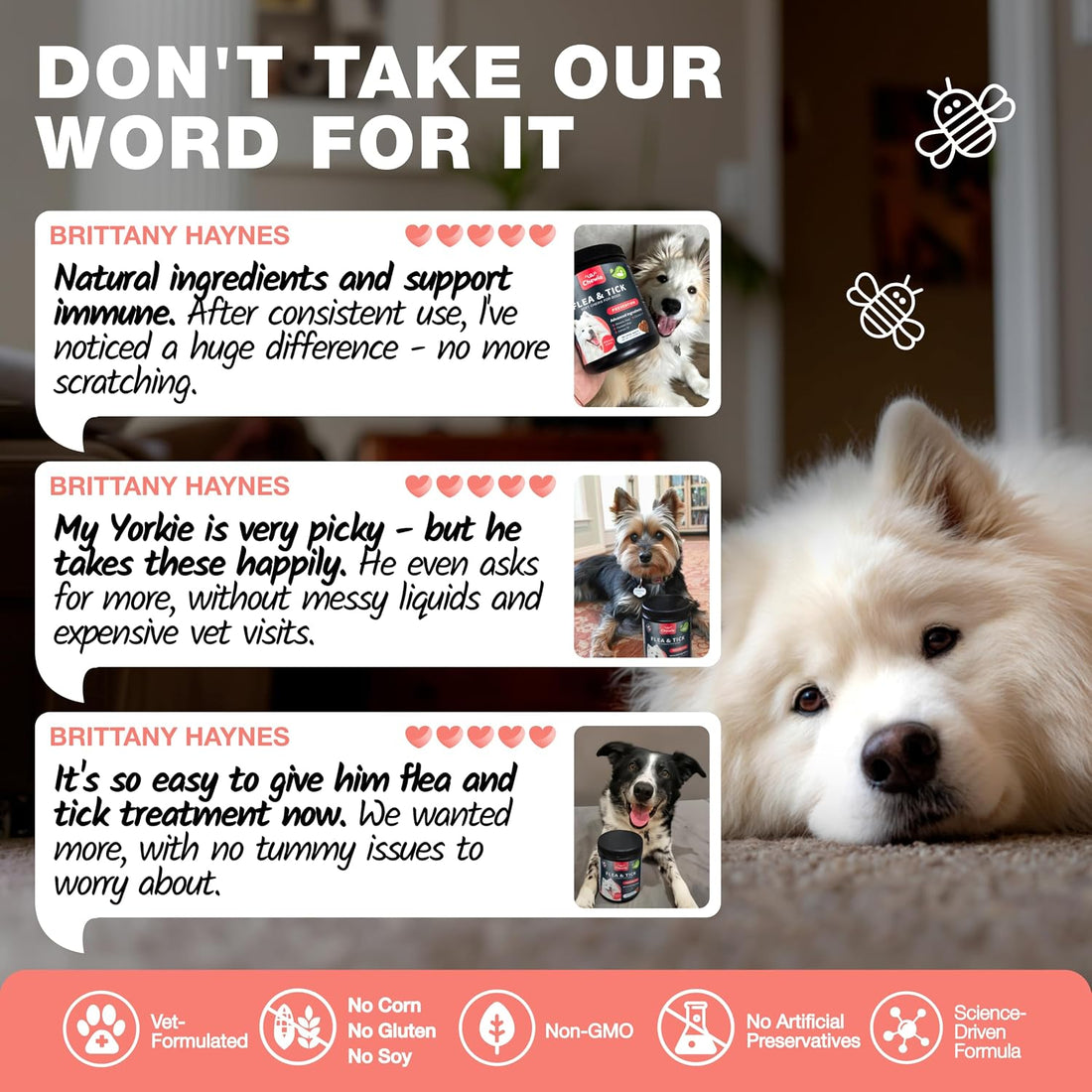 Dog Flea & Tick Chews – Oral Chewable Flea and Tick Prevention