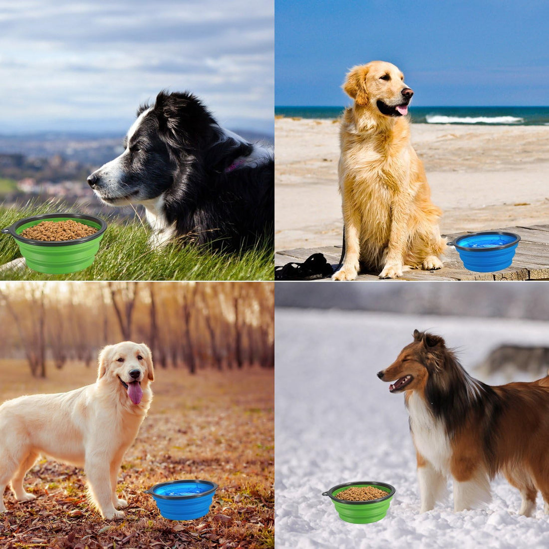 Comsun 2-Pack Extra Large Size Collapsible Dog Bowl