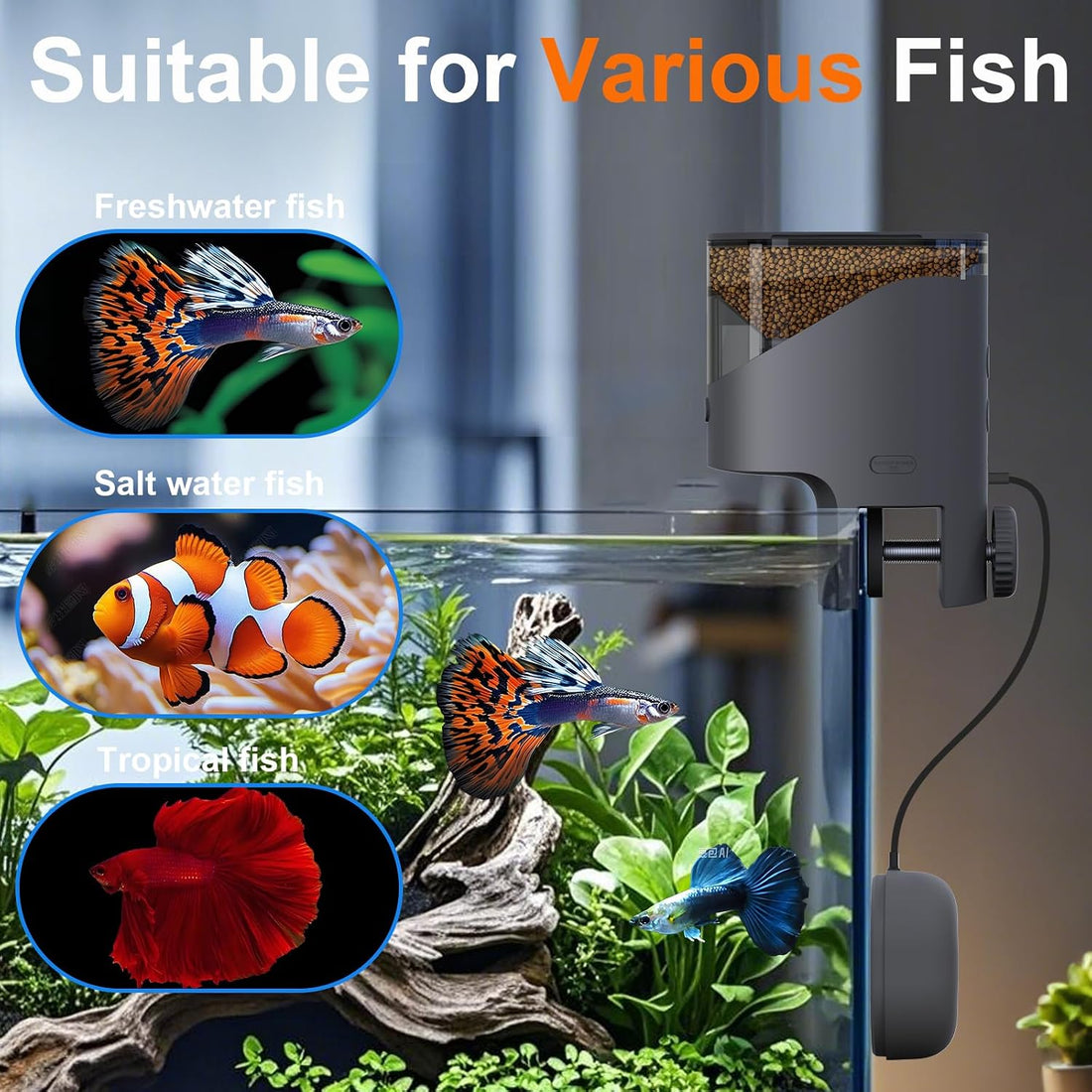WiFi Automatic Fish Feeder for Aquarium, Flake Feeder with Camera