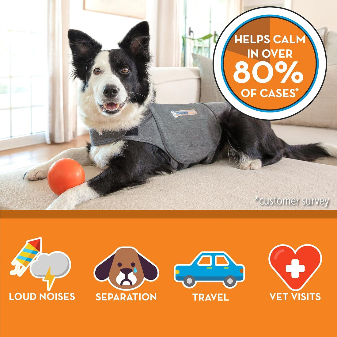 ThunderShirt for Dogs Calming Anxiety Vest, Large, Heather Gray