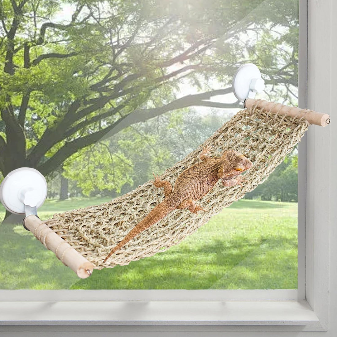 FlidRunest 21.6 x 7.8 in Seagrass Bearded Dragon Hammock for Window