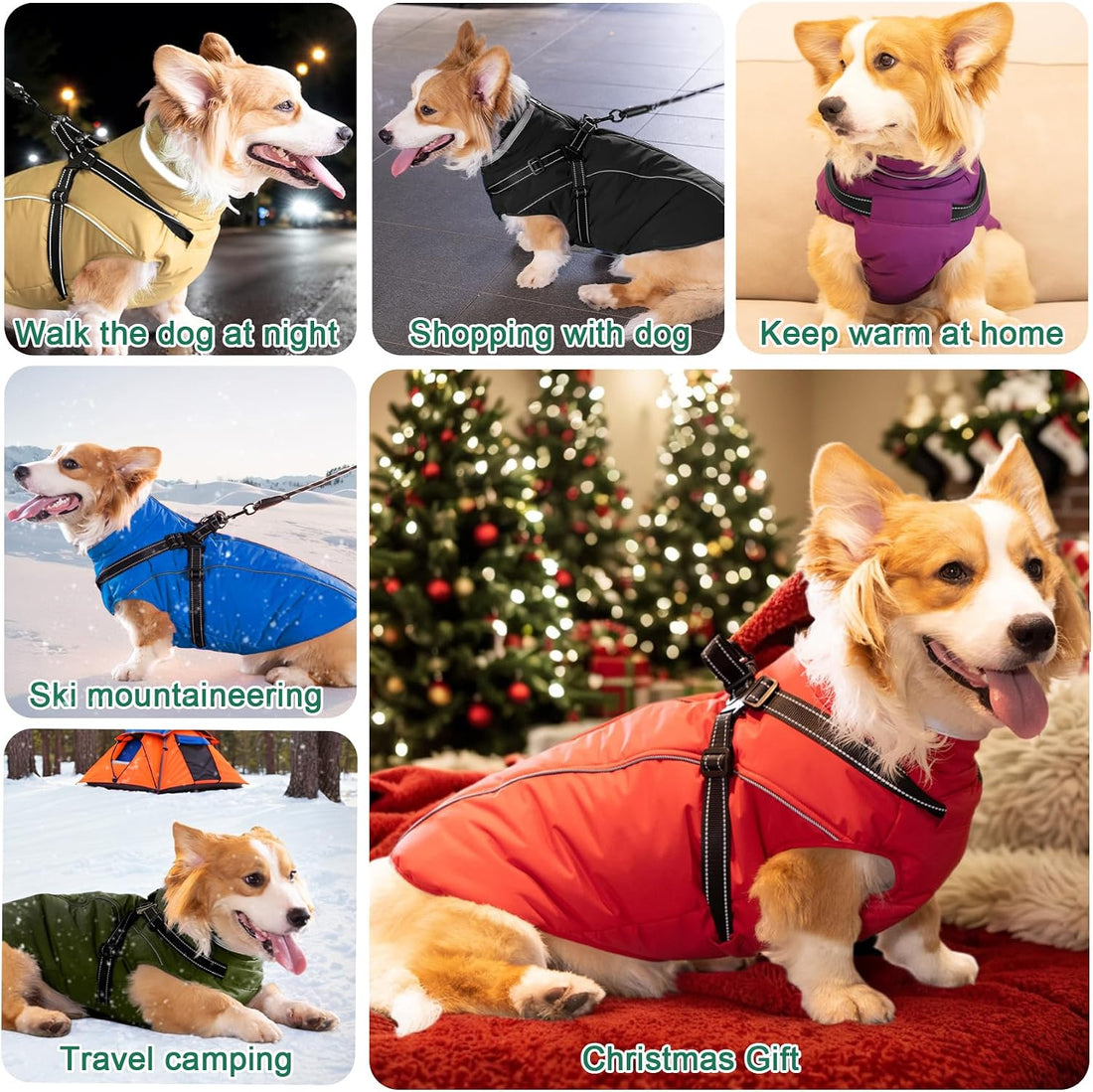 Fragralley Dog Coat with Harness Built in, Waterproof Warm Jacket Vest