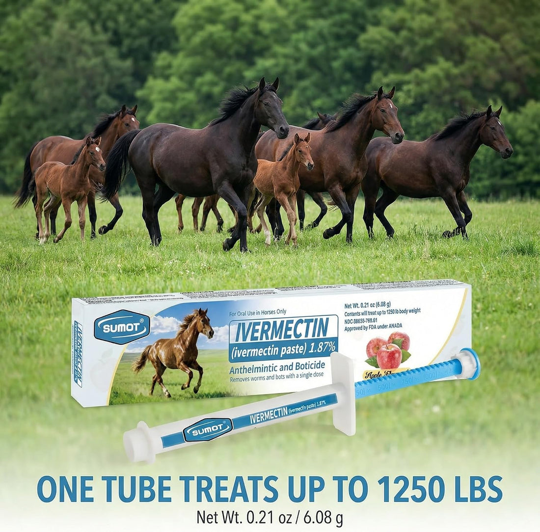 6-Pack Ivermectin Horse Paste 1.87%