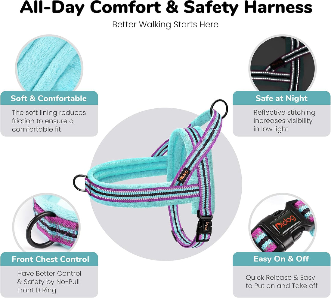 Didog No Pull Dog Harness for Small Dogs