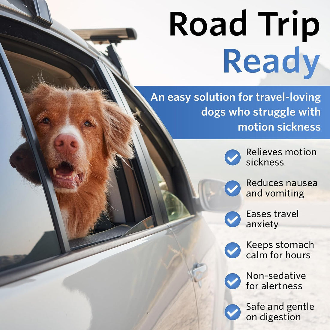 Anti-Motion Sickness and Nausea Relief for Medium Breed Dogs