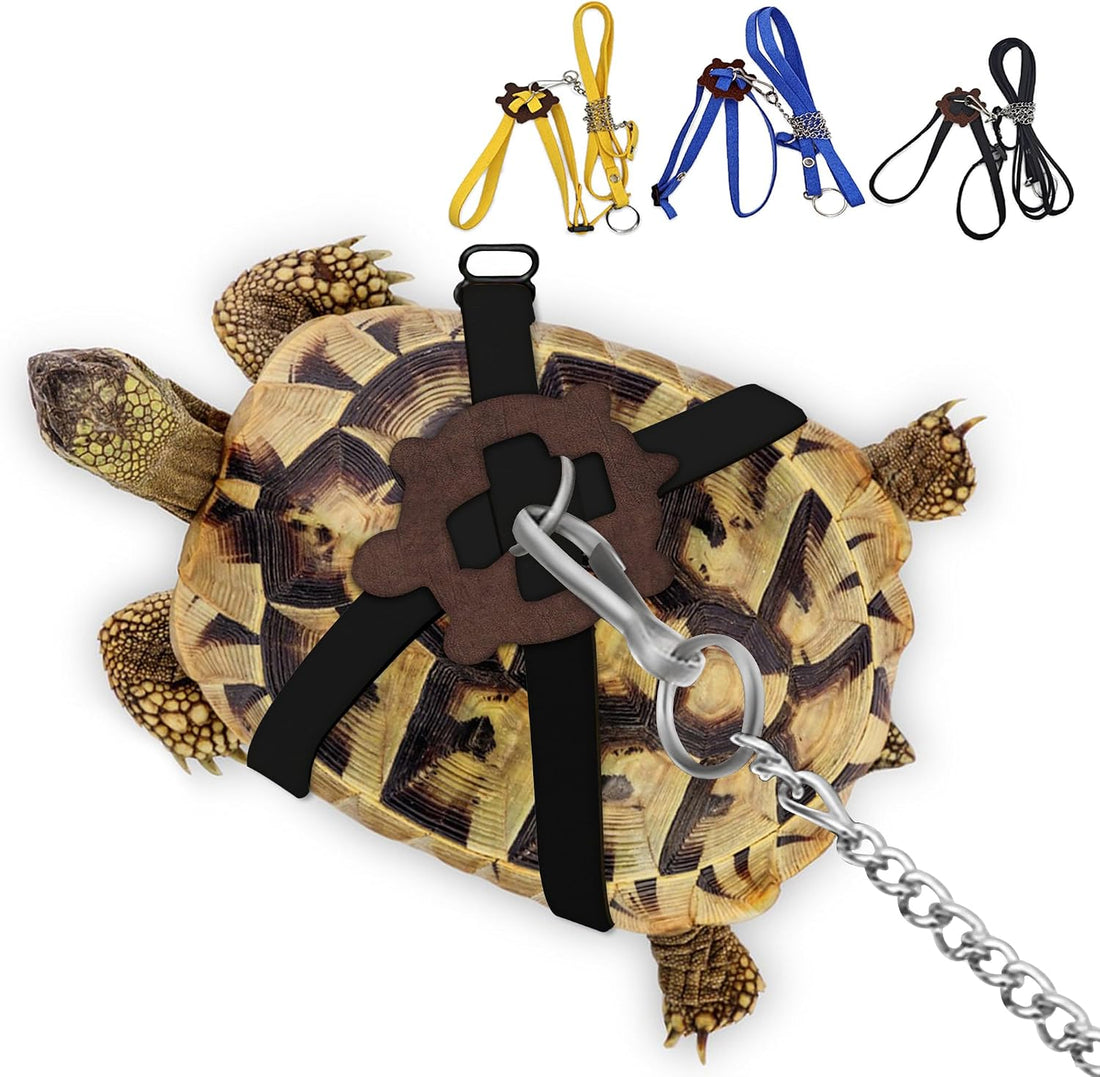 Pet Tortoise Leather Harness & Leash - Small Tortoise Supplies