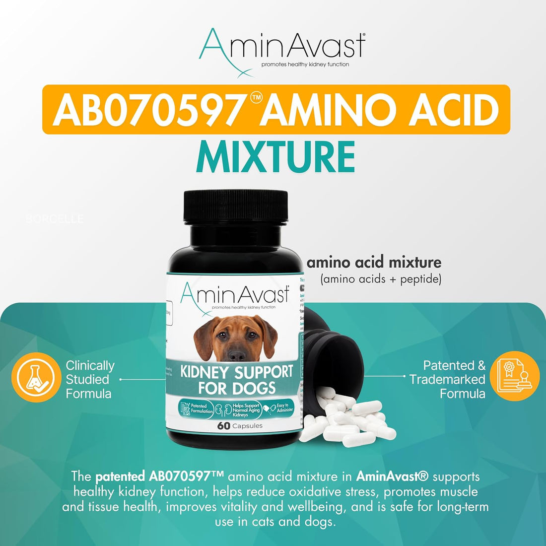 AminAvast 1000 mg Kidney Support for Dogs, 3 Bottles