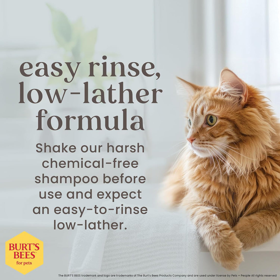 Burt's Bees for Pets Hypoallergenic Cat Shampoo with Shea Butter