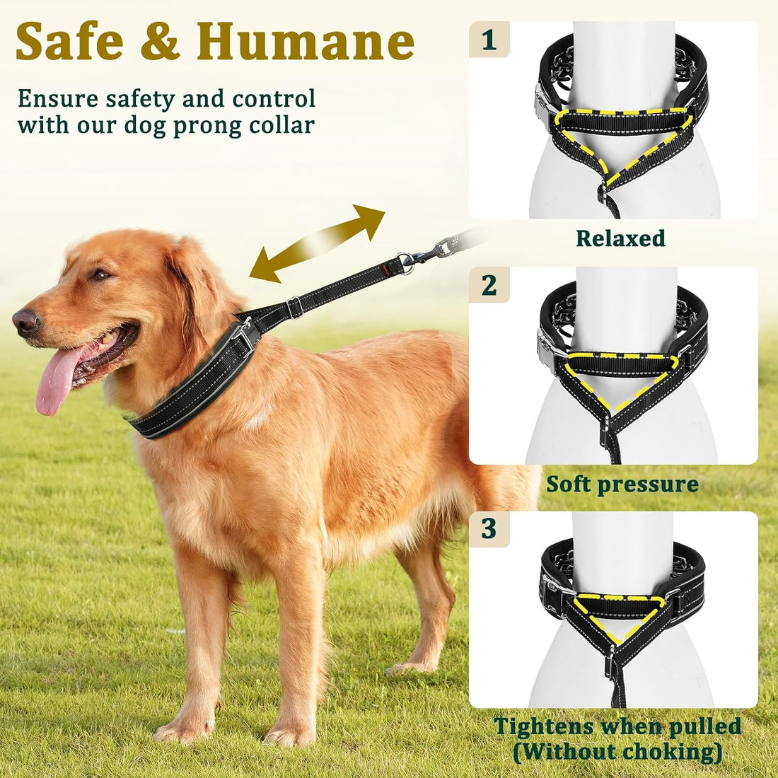 Mayerzon Prong Collar for Large Medium Dogs