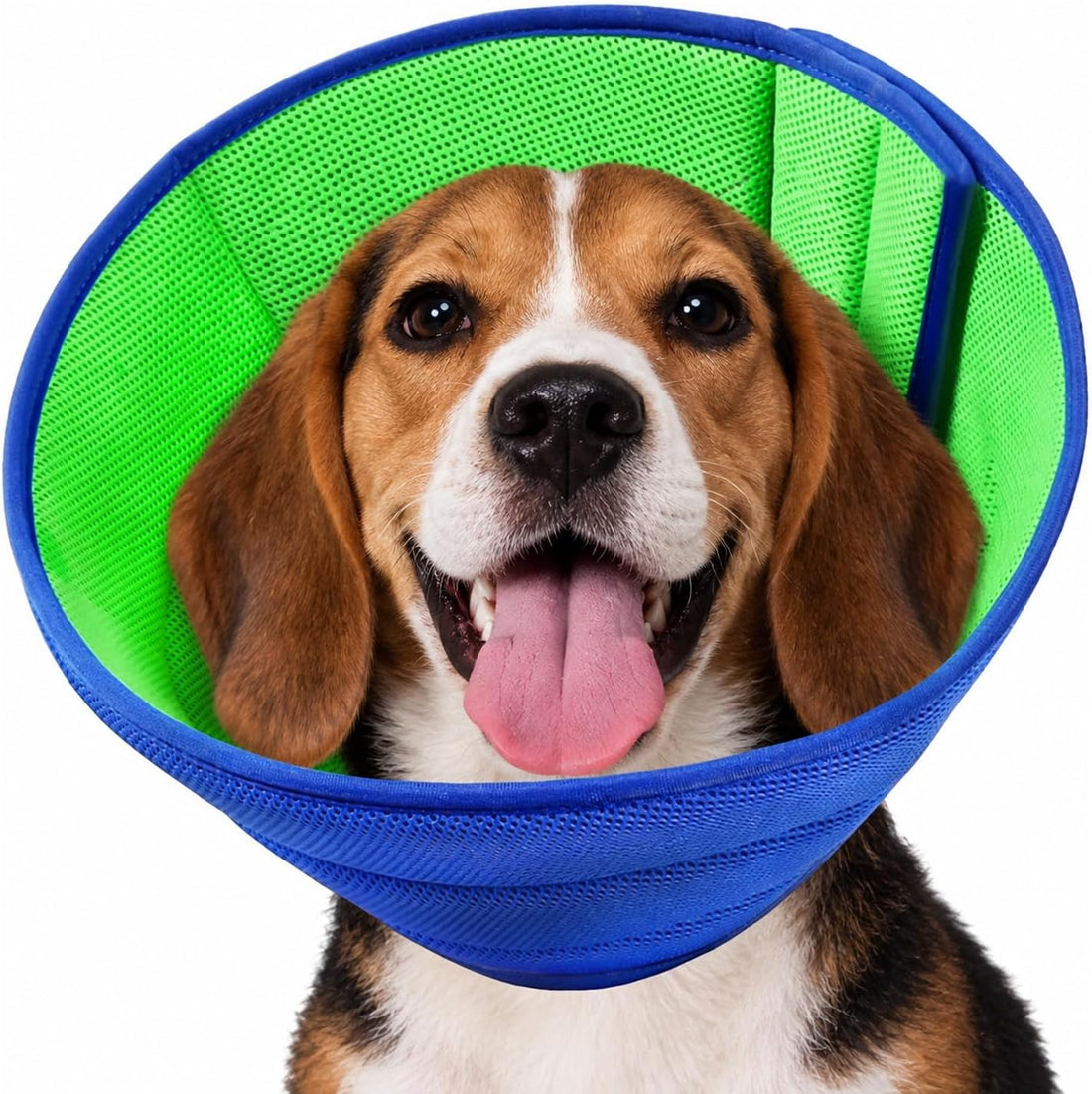 Soft Dog Cone Recovery Collars & Cones After Surgery for XLarge Dogs