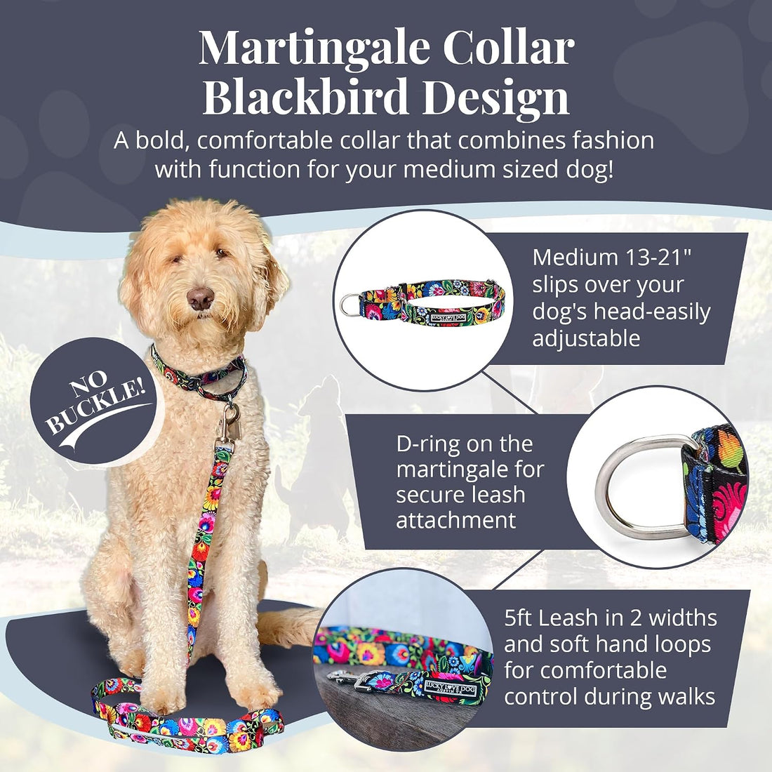 Lucky Love Dog Martingale Collar for Medium Dogs Cute – Blackbird