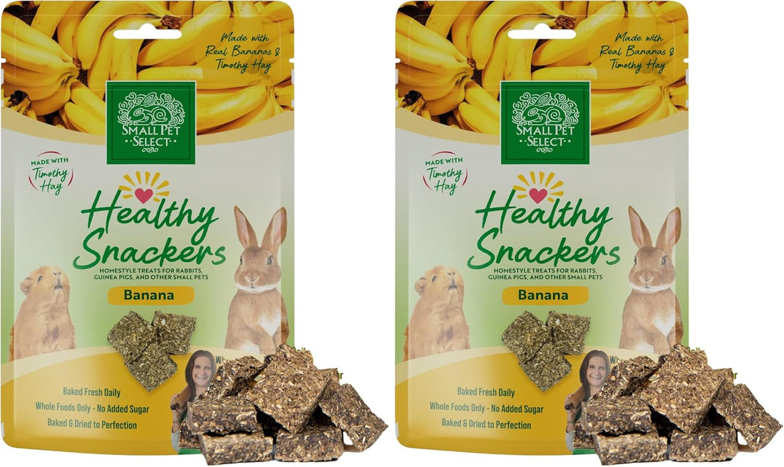 Small Pet Select - Healthy Snackers - Pumpkin