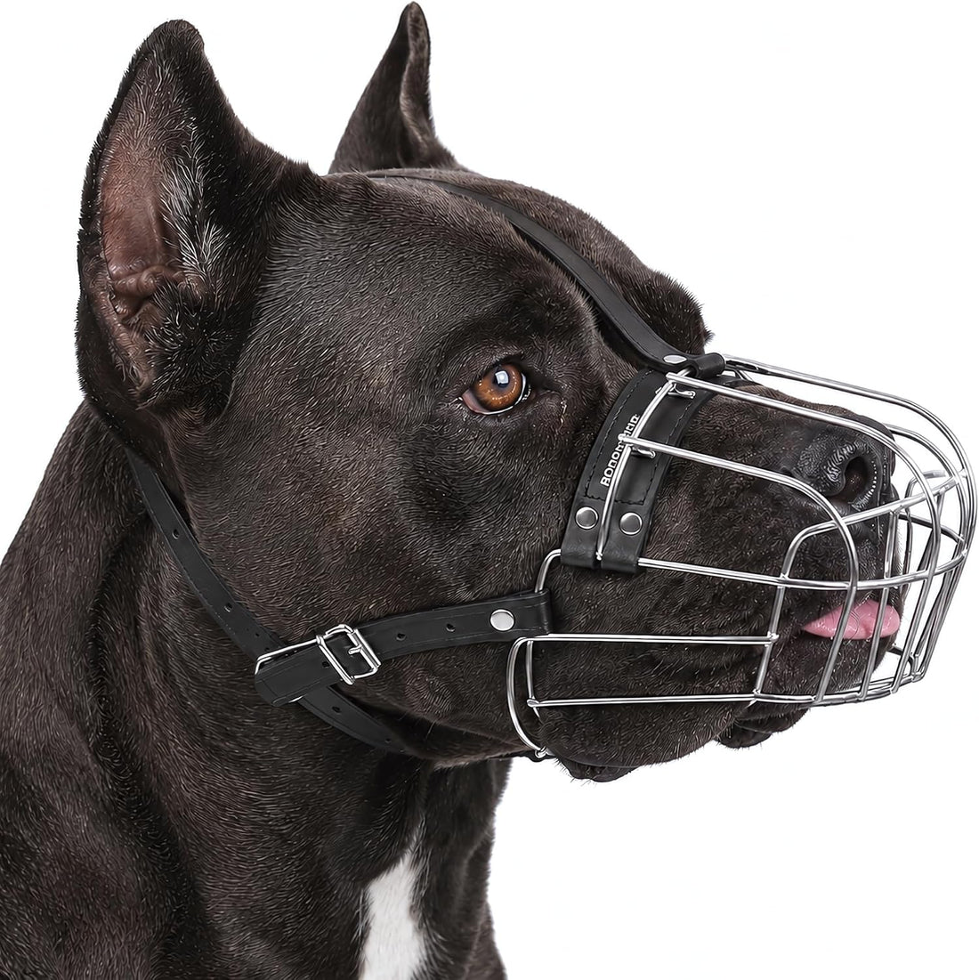 BRONZEDOG Stainless Steel Wire Basket Dog Muzzle for Rottweiler