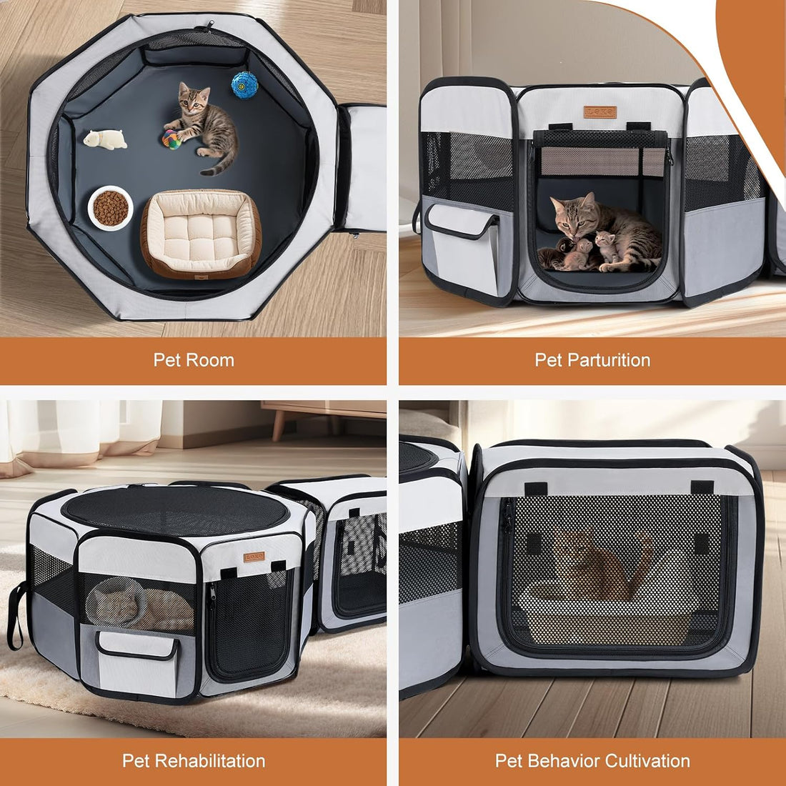 Want to Give Your Kittens & Puppies a Safe