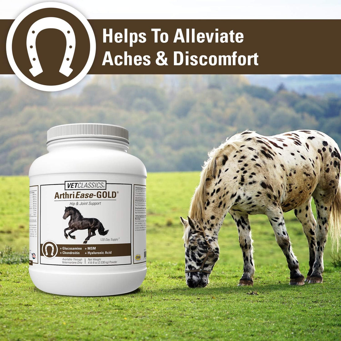 Vet Classics ArthriEase-Gold Joint Support for Horses - 2 lb, 4 Oz