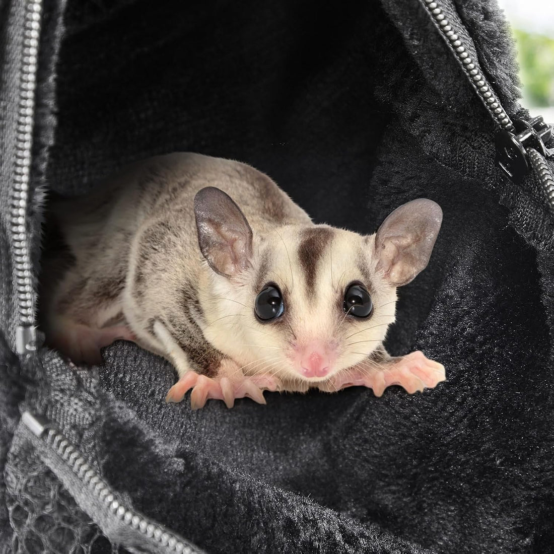 Sweetude 2 Pcs Sugar Glider Pouch Breathable Carrying Bonding Pouch
