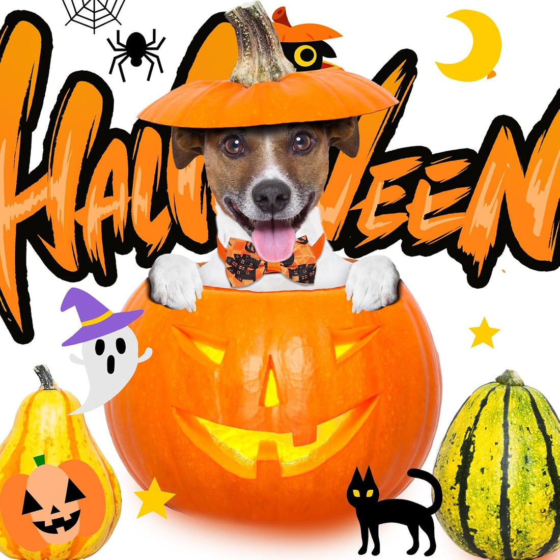 Talltalk 120 Pcs Halloween Dog Bow Tie Collar Set
