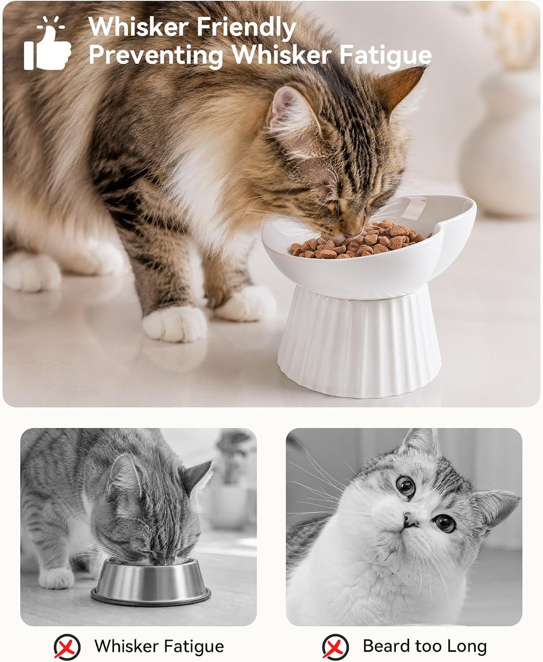Elevated Cat Food Bowl, Ceramic Titled Whisker Friendly, 5.3in Wide