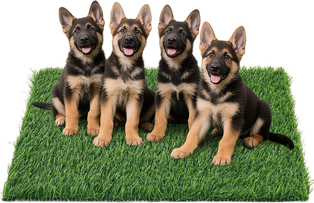 Replacement Artificial Grass Pee Pads for Dogs Potty Training to Pee