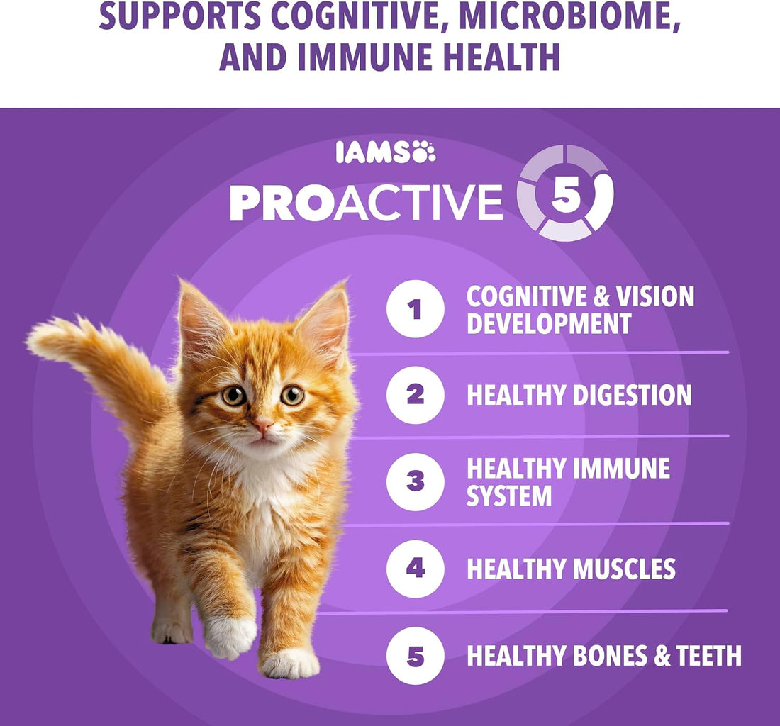IAMS Proactive Health Kitten Dry Cat Food