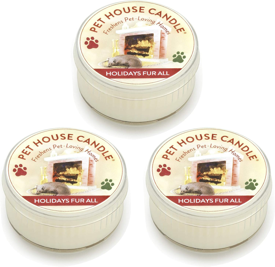 Evergreen Forest Mini Candles Plant-Based Wax, 3 Pack Pet House