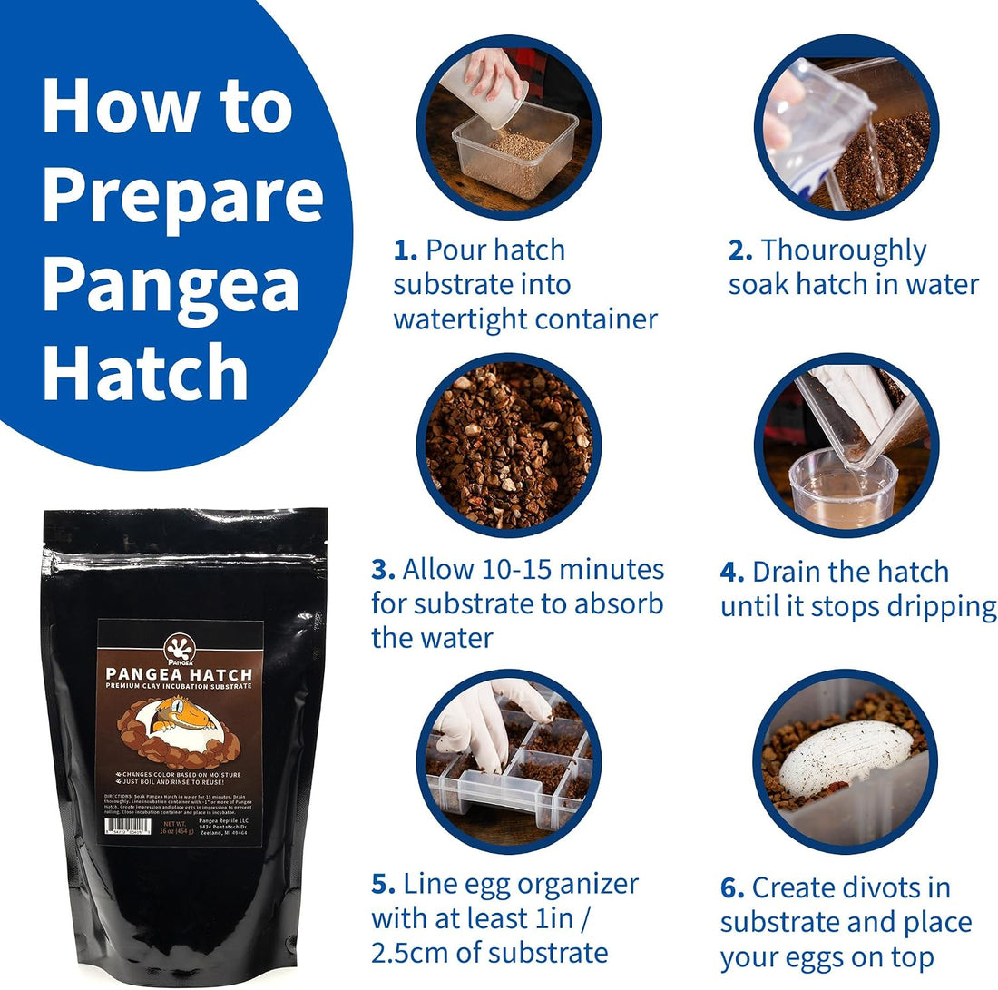 Pangea Hatch Premium Reptile Egg Incubation Substrate, 2 lb