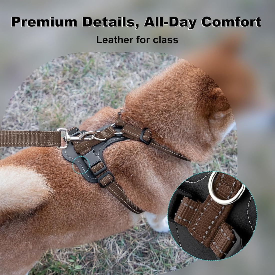 Plutus Pet No Pull Dog Harness with Leather Accents