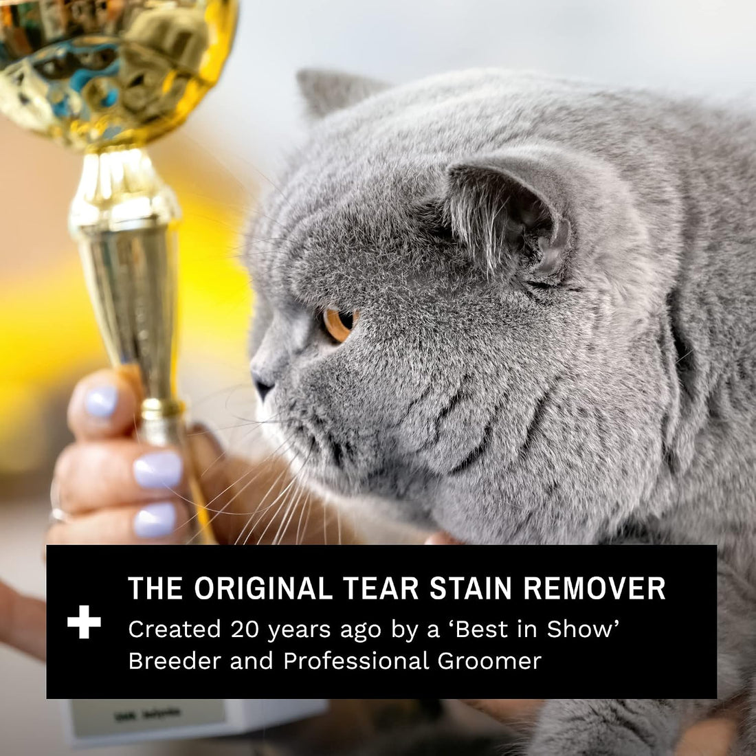 Eye Envy Cat Tear Stain Remover Starter Kit with ProPowder Brush.