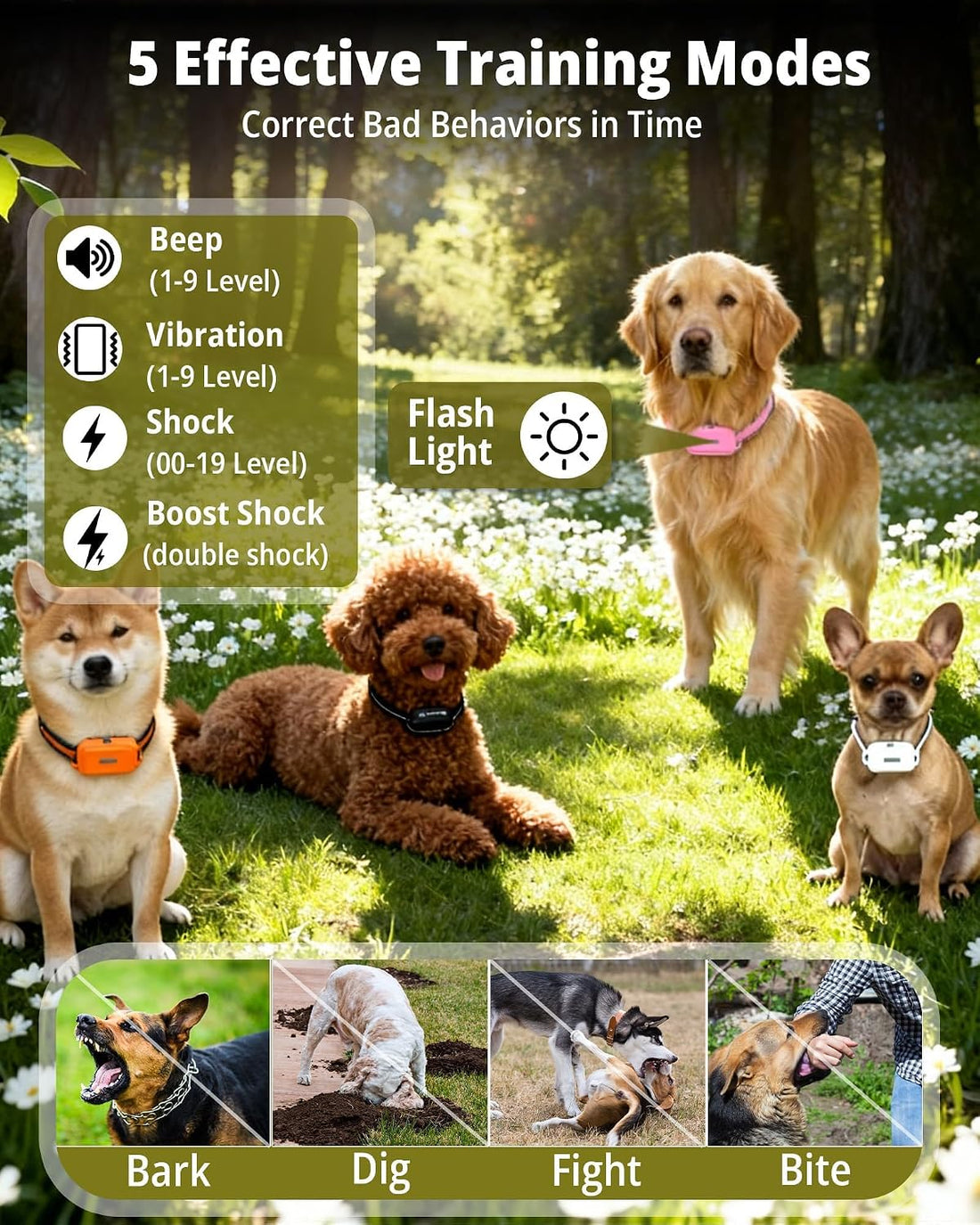 Shock Collar for 2 Dogs with Light Waterproof 2 Pack Remote Training