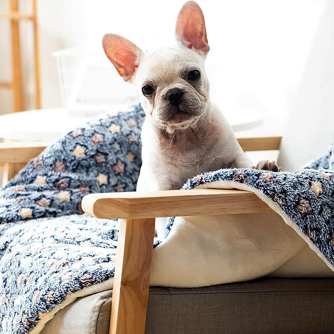 FJWYSANGU Pet Blanket Premium Fluffy Flannel Cushion Soft and Warm