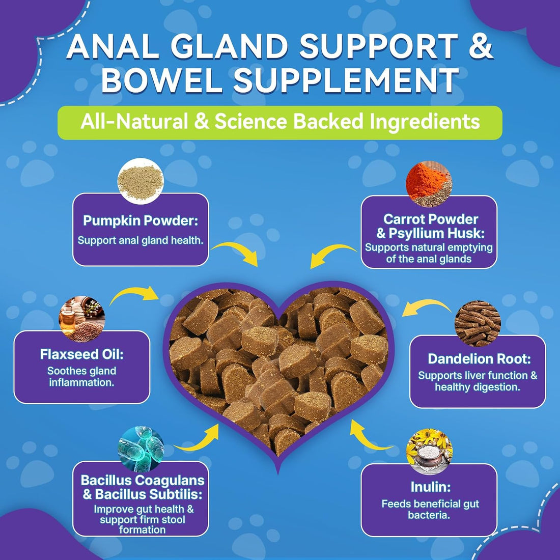 Anal Gland Chews for Dogs, No Scoot for Dogs, Pumpkin Fiber