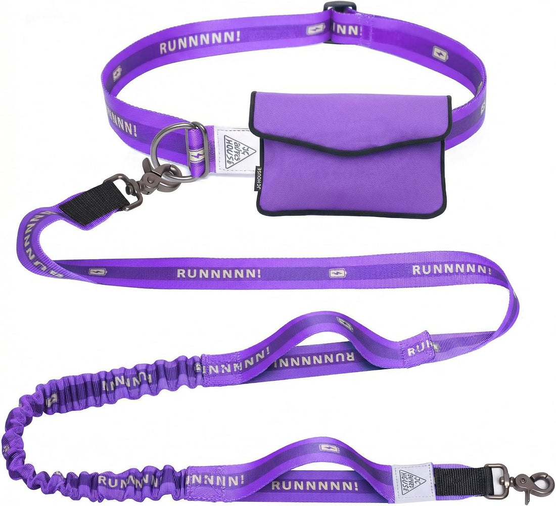 Hands Free Dog Leash,Waist Belt, Shock Absorbing Bungee, Dual Handles