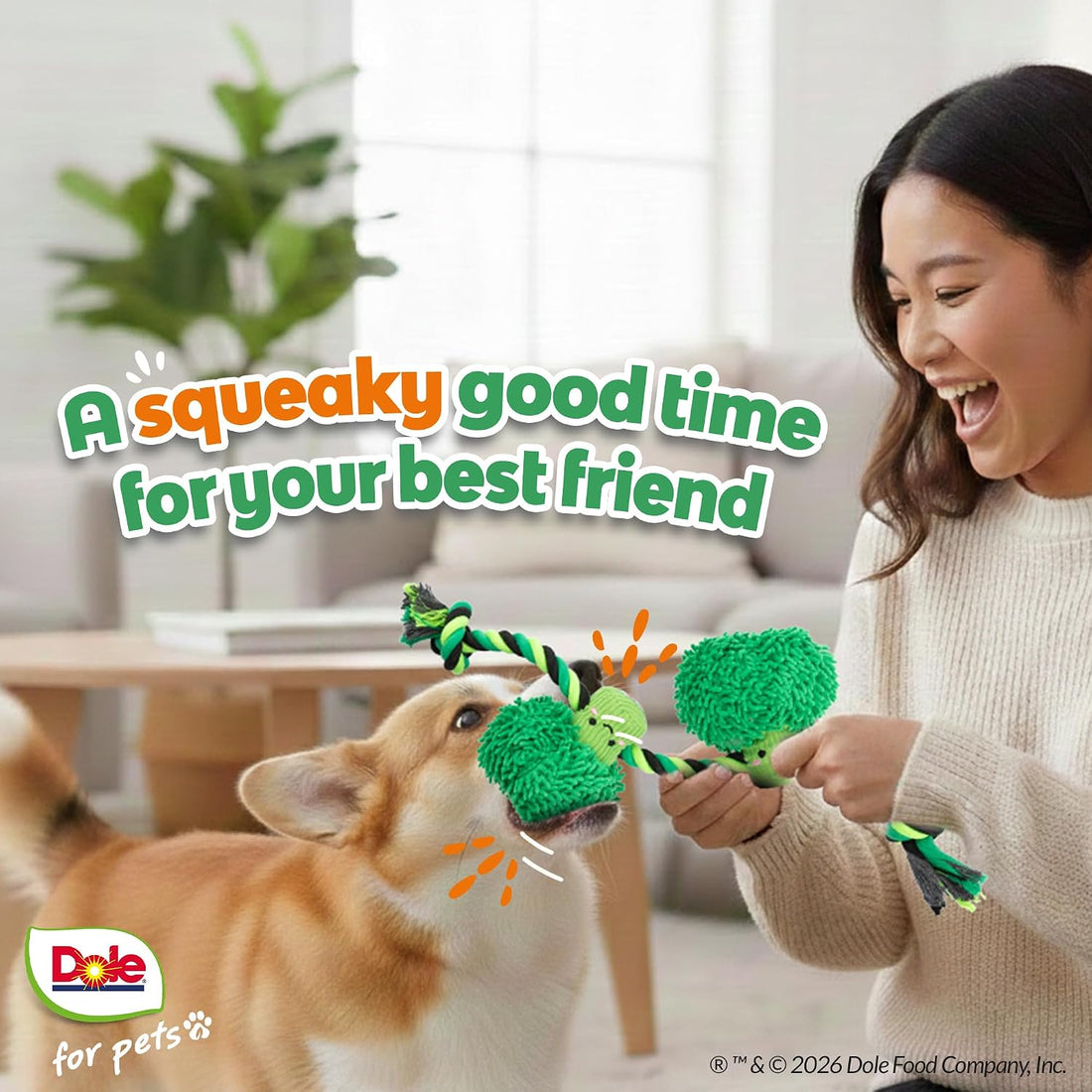 Dog Rope Toy with Squeakers, Broccoli Tug of War Dog Toy