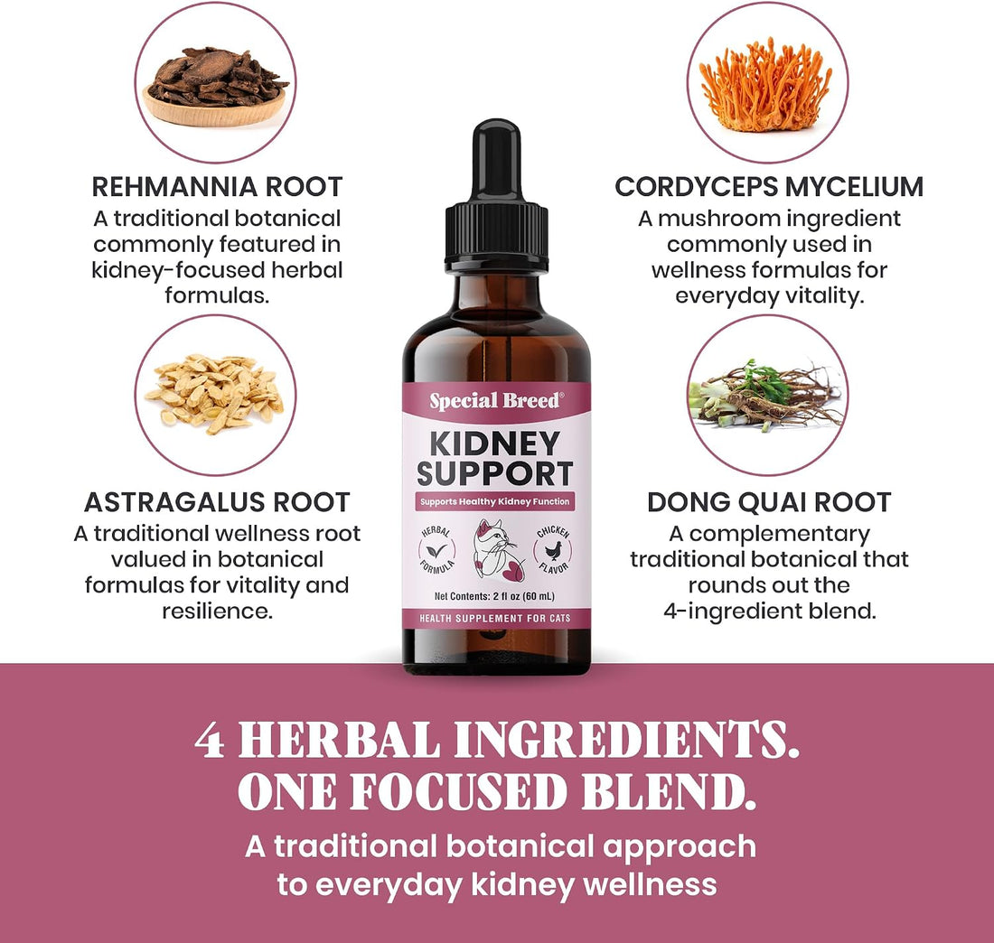 Special Breed Kidney Support for Cats - Rehmannia & Astragalus Liquid