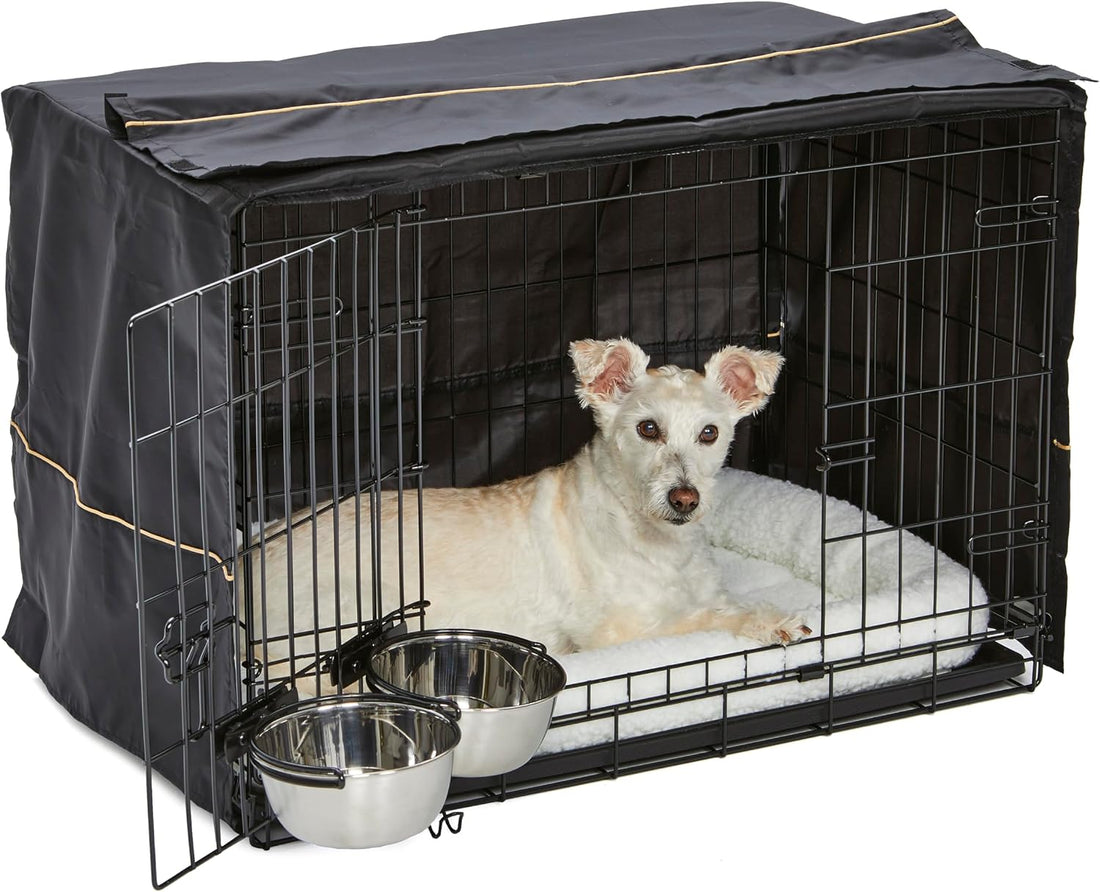 MidWest Homes for Pets Pink Fashion iCrate Starter Kit
