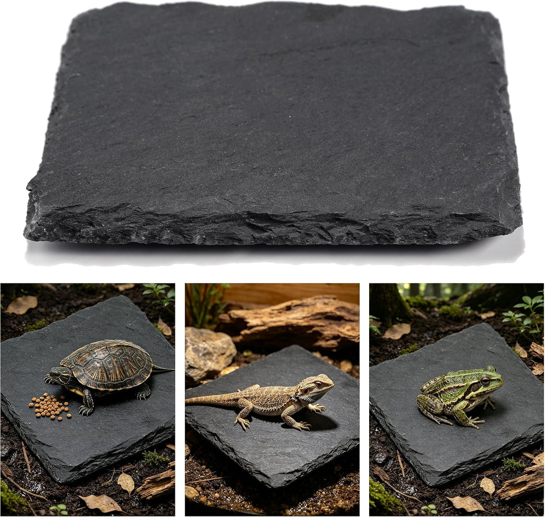 Turtle Basking Platform Slate, Reptile & Tortoise Rock, 3.9X3.9 in