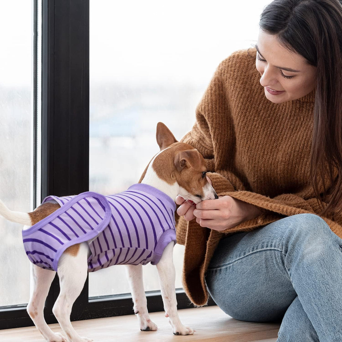 Dog Recovery Suit, Surgical Recovery Suit for Male Female Dogs Cats
